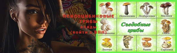 spice Алексеевка