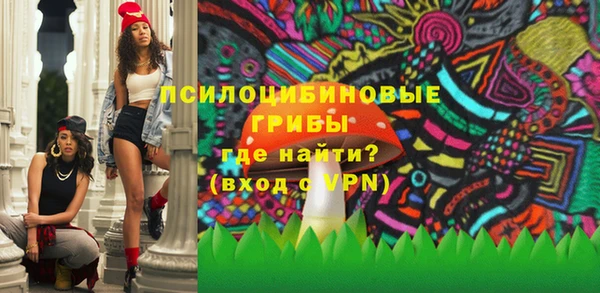 spice Алексеевка