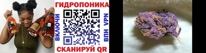 Купить закладки  Тайга  Каннабис планчик 
